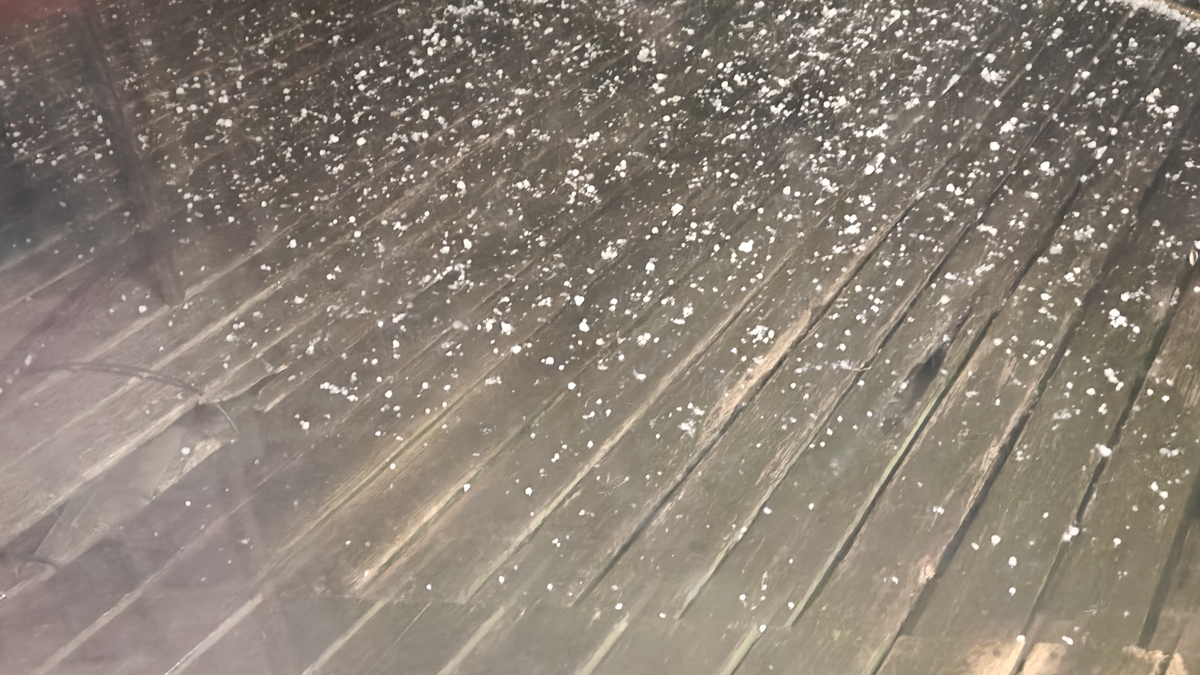 Hail St. Charles